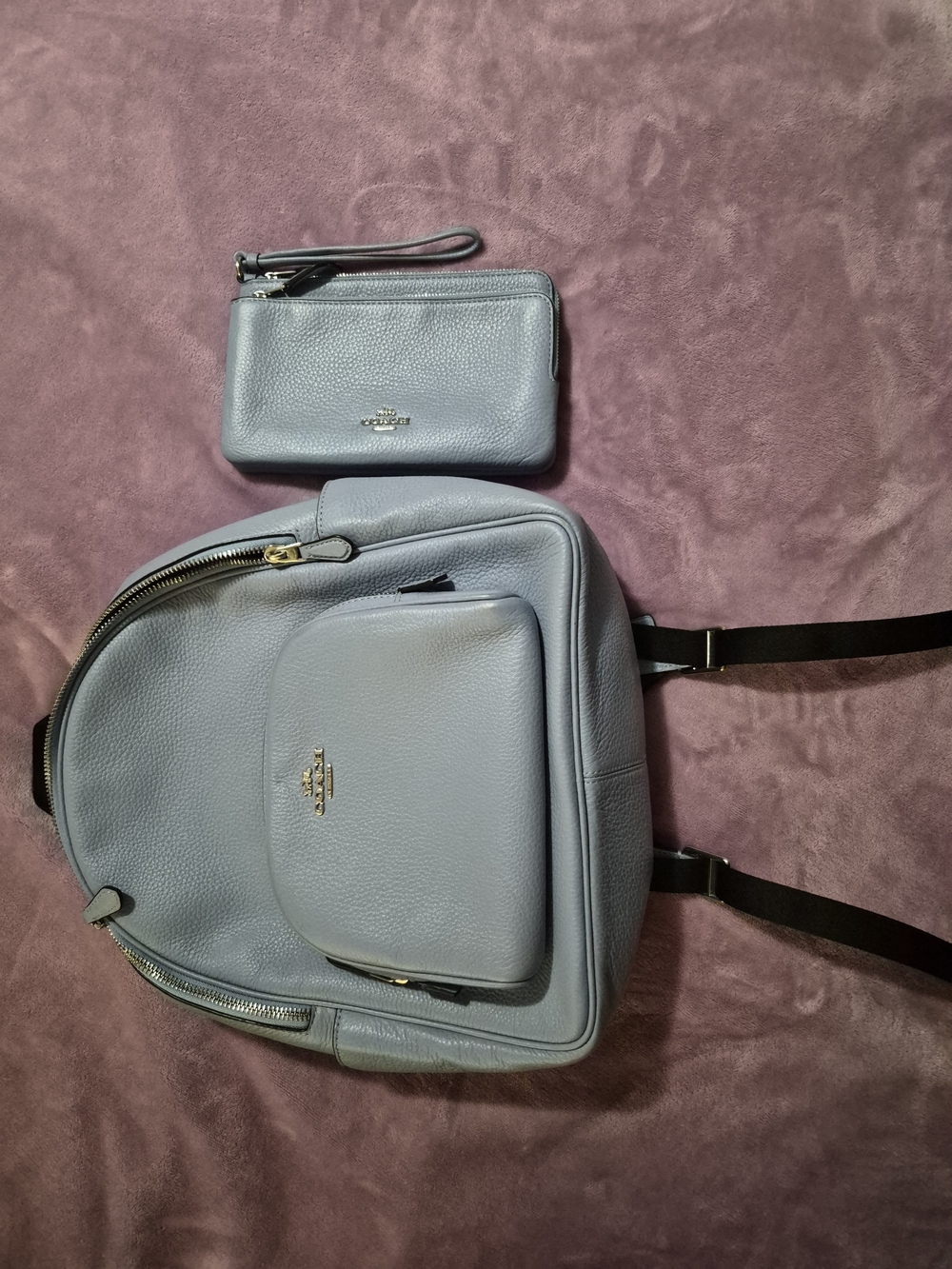 Coach Pebbled Leather Backpack & Wristlet in Light Blue